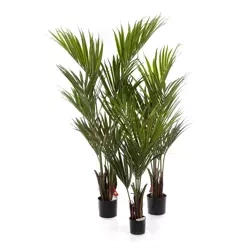 Sztuczne Palmy Kentia 110-200 cm zestaw x4