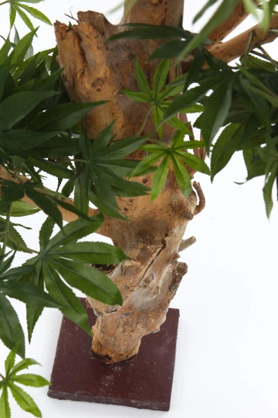 Sztuczny Klon Bonsai 95 cm zielony