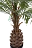 Sztuczna Palma gruby pień 150 cm Weatherproof UV