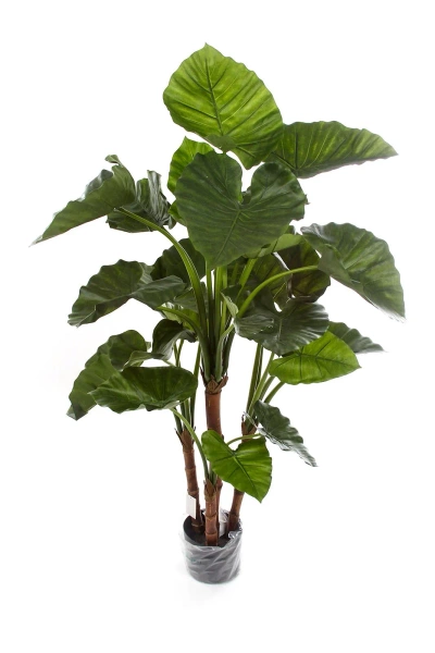 Sztuczna Alokazja Calidora 125 cm deluxe