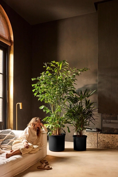 June Tulip 40 czarna osłonka do salonu