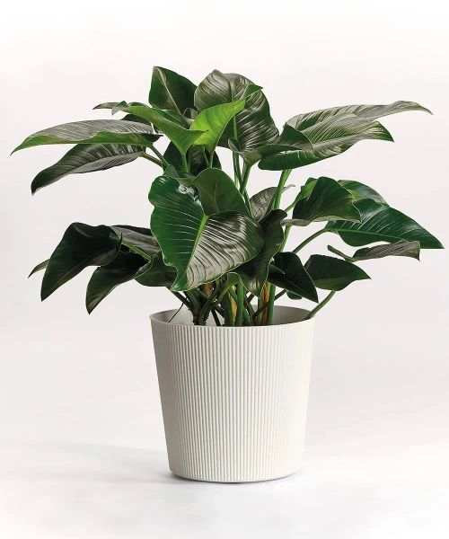 Fyre 40 antracytowa donica prążkowana na kółkach