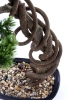 Sztuczny Bonsai Sosna Pinia 90 cm