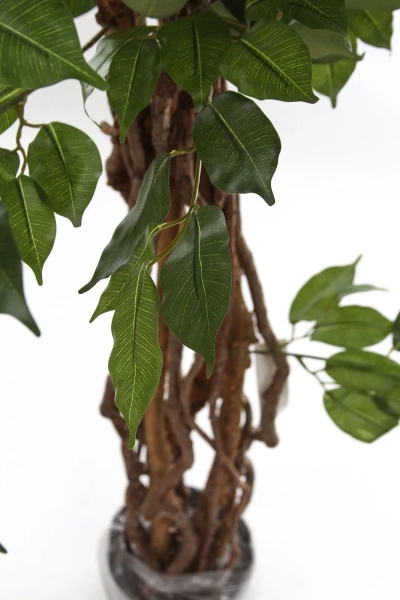 Sztuczny Fikus Liana 170 cm 1008 liści drewniane pnie