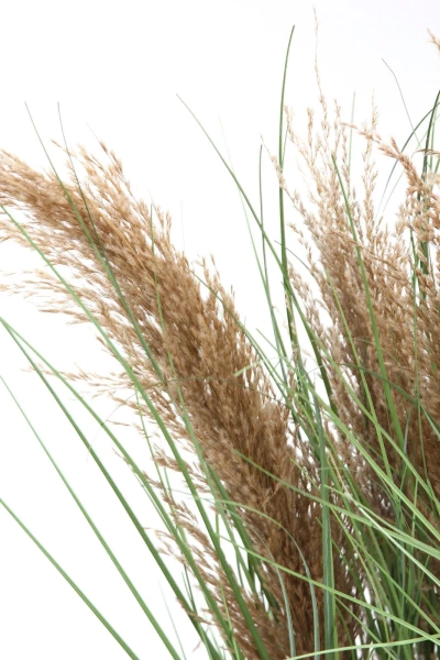 Sztuczna trawa trzcinowa gęsta 75 cm w doniczce