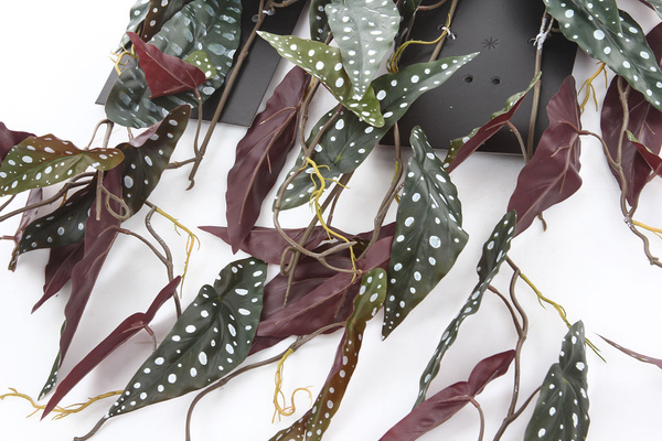 Sztuczna Begonia maculata wisząca pnącze 115 cm