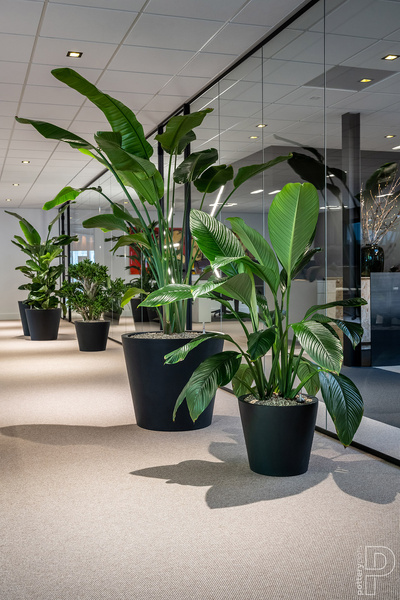 Bucket M 58/50 betonowa donica czarna