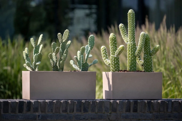 Balcony S 50x20/20 donica kamienna prostokątna taupe