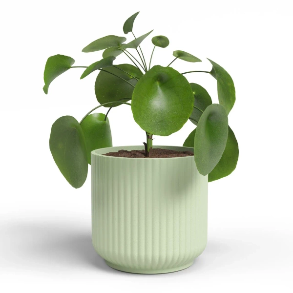 Luna 15/14 osłonka w prążki walec delikatna zieleń ceramiczna