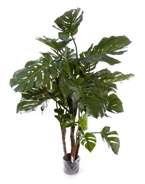 Sztuczna Monstera 140 cm na drewnianych pniach deluxe