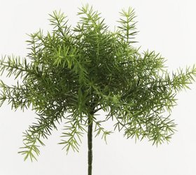Sztuczny Asparagus busz 22 cm zielony