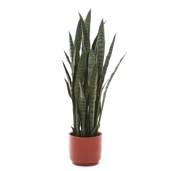 Sztuczna Sanseveria 110 cm zielona