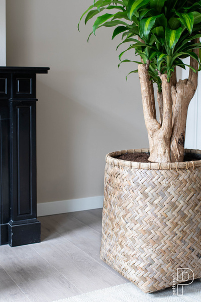 Zayn M 55/60 donica bambusowa naturalna