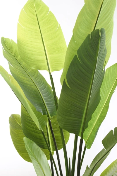 Sztuczna Strelicja nicolai wysoka 180 cm 13 liści