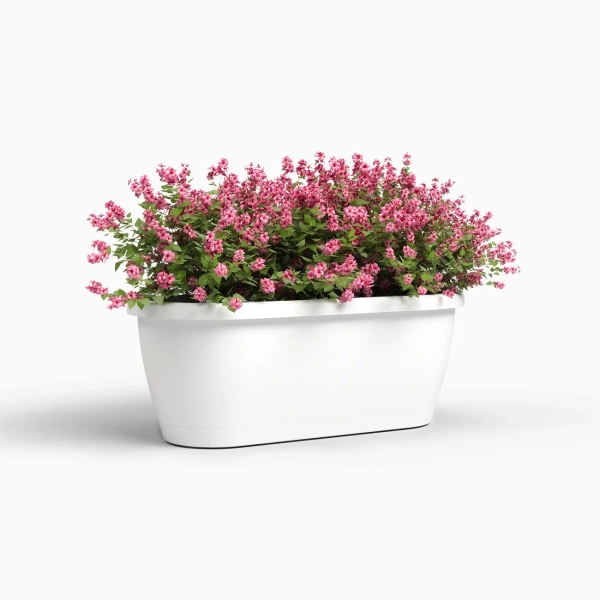 Algarve Wall 38x14/14 biała doniczka na ścianę wisząca