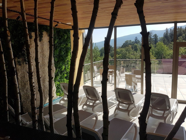 Sztuczna Zielona ściana mata 100x100 mix roślin UV wodoodporna