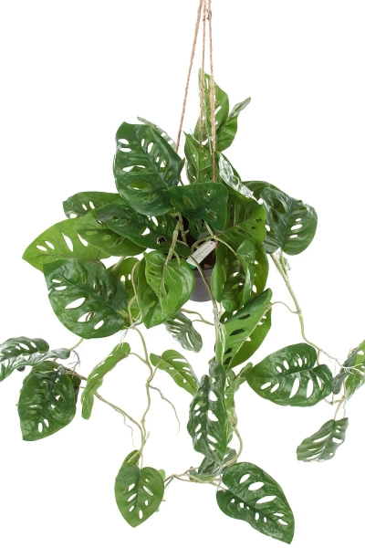 Sztuczna Monstera Monkey wisząca 80 cm w doniczce