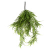 Sztuczny Asparagus pnącze 80 cm x6 zielony