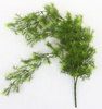 Sztucznu Asparagus wiszący pnącze 75 cm zielony