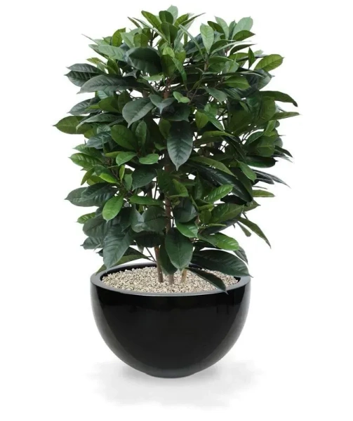 Gęsty sztuczny fikus Cyathistipula 120 cm deluxe