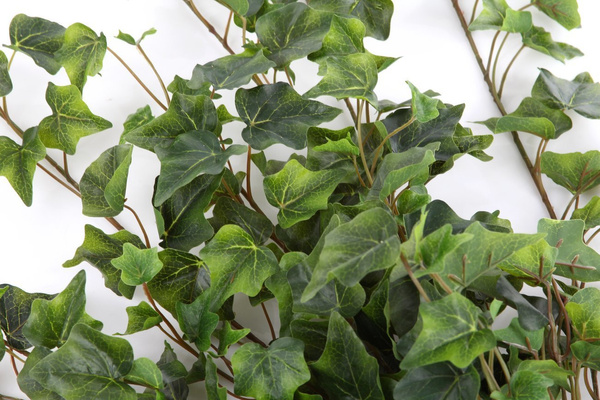 Sztuczny Bluszcz zielony pnącze 100 cm