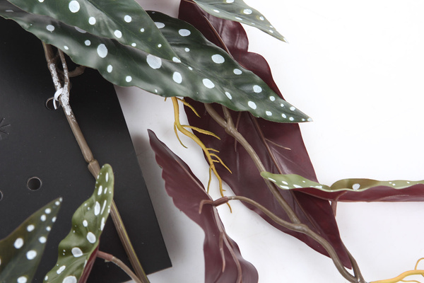 Sztuczna Begonia maculata wisząca pnącze 115 cm