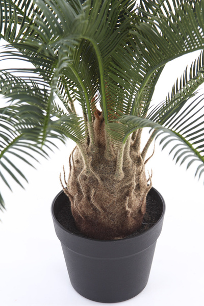 Sztuczny cykas 60 cm 18 liści