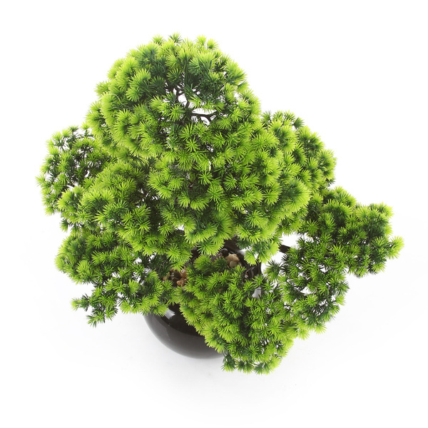 Sztuczne drzewko Bonsai Modrzew Larch 60x50 cm w ceramicznej doniczce