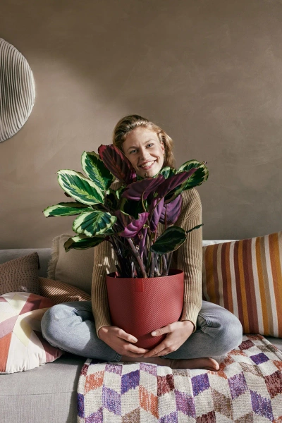 Jazz Elho 16 toskańska czerwień osłonka