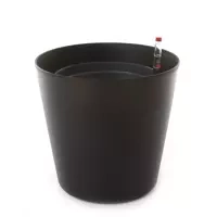 czarny