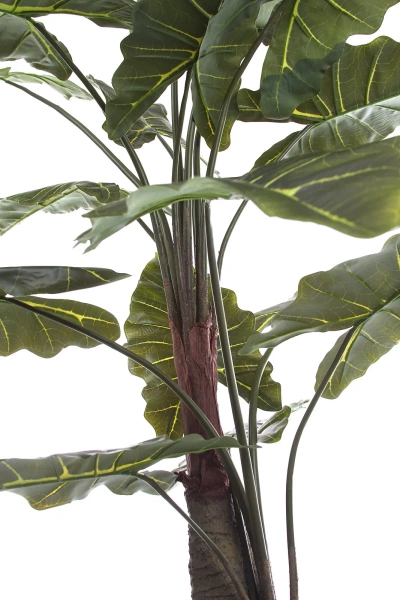 Sztuczna Alokazja drzewko 180 cm 22 liście gruby pień