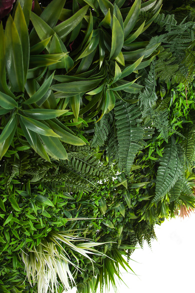 Mata Zielona Ściana panel z liści PREMIUM 100x100 cm