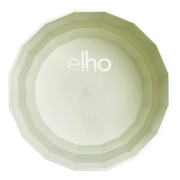 Facet 23 osłonka zielona herbata Elho tea green