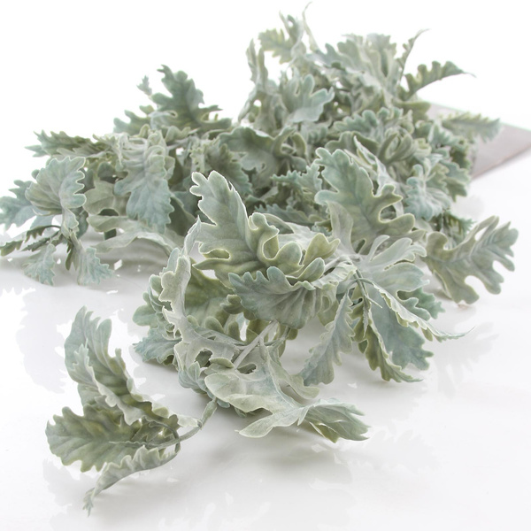 Sztuczny Starzec Cineraria pnącze 75 cm