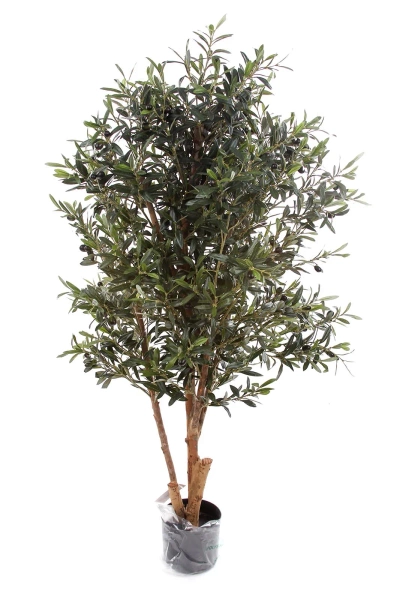 Sztuczna Oliwka 150 cm drewniany rozgałęziony pień