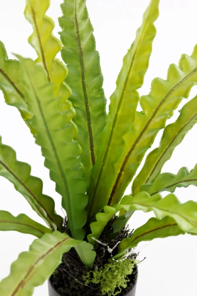 Sztuczne asplenium paproć 46 cm w doniczce
