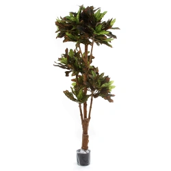 Sztuczny Kroton Bonsai deluxe 175 cm