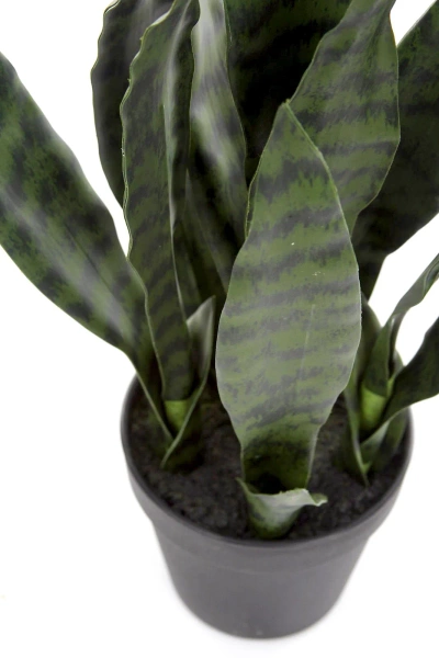 Sztuczna Sansewieria 50 cm zielona