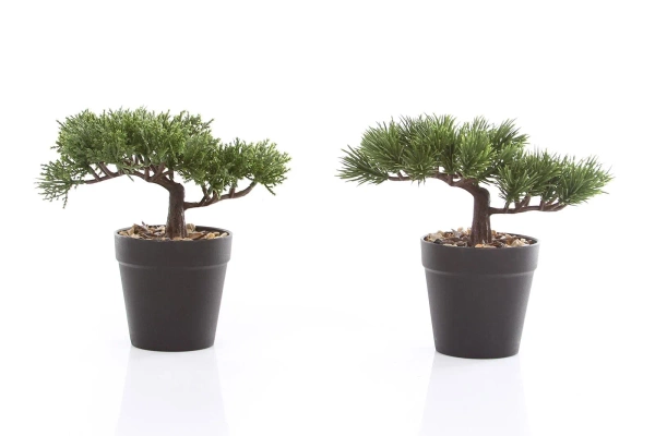 Sztuczny Bonsai Cedr 18 cm