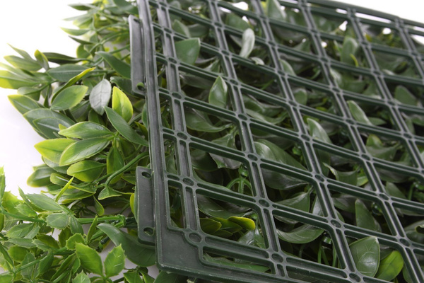 Sztuczna zielona ściana panel roślinny Szeflera 50x50 UV wodoodporna