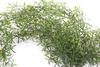 Sztuczna trawa wisząca pnącze 75 cm