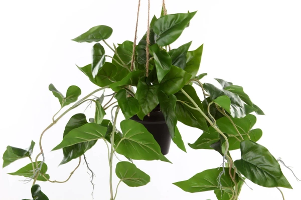 Sztuczny Filodendron Scandens wiszący 80 cm w doniczce