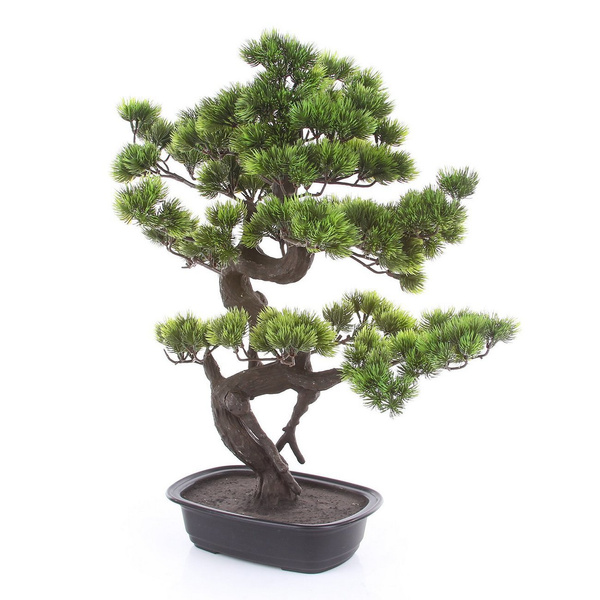 Sztuczne drzewko Bonsai Sosna Pinia 65 cm