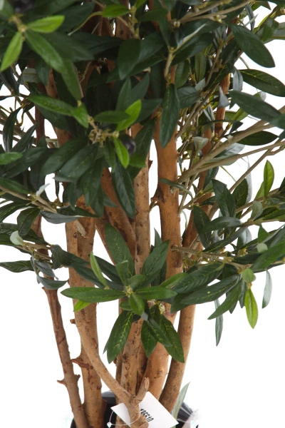 Sztuczna Oliwka gęsta 100 cm deluxe