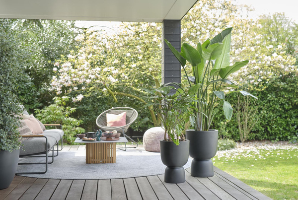 PURE COUPE ELHO 35/49 donica na podwyższeniu czarna