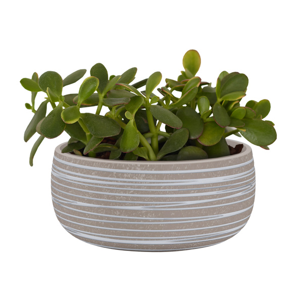 DORIS Bowl 29/14 ceramiczna misa w paski beżowa