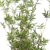 Sztuczny bambus Oriental 130 cm naturalne bambusowe łodygi 1560 liści