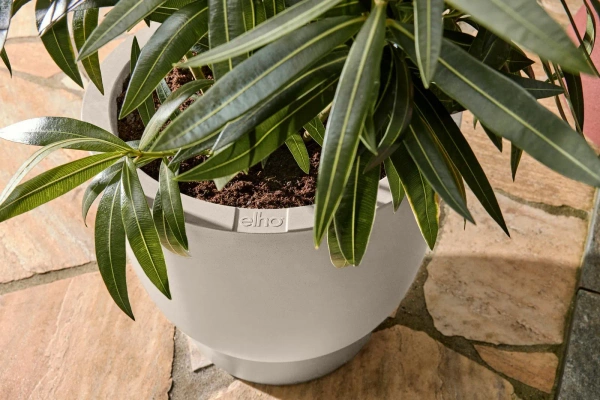 Amber Grail 38/36 donica na podwyższeniu biały len