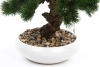 Sztuczne drzewko Bonsai Pinus Sosna 37 cm w białej doniczce