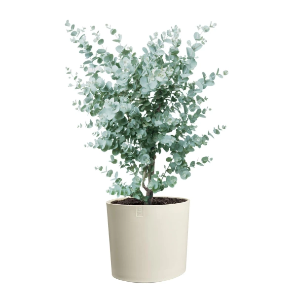 Eden 30 biała donica asymetryczna linen white Elho